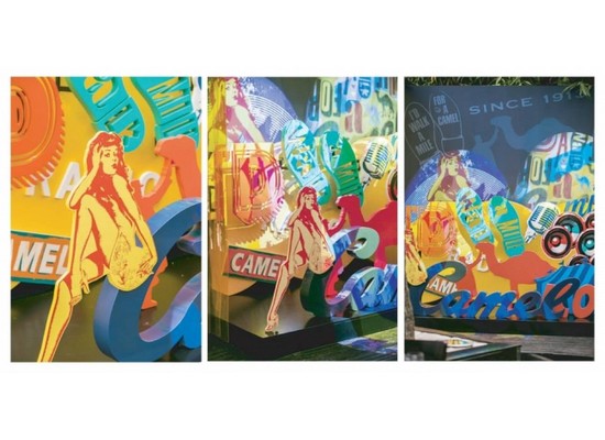 camel_studio3divine.jpg