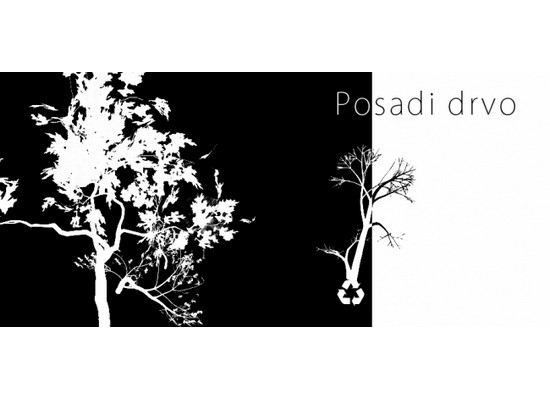 0133posadiDrvo.jpg