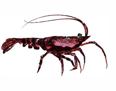 naslovna02.png